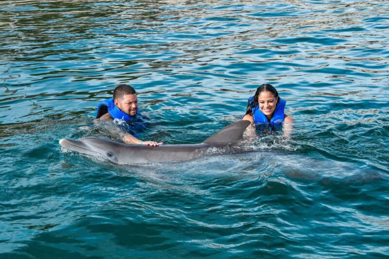 Puerto Plata: Ocean World Adventure Park Swim with Dolphins - Is It Worth the Price?