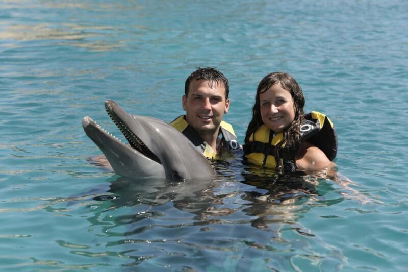 Puerto Plata Ocean World Dolphin Swim - What the Tour Entails: A Detailed Look