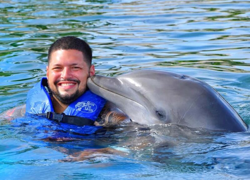 Puerto Plata Ocean World Dolphin Swim - Practicalities and Considerations