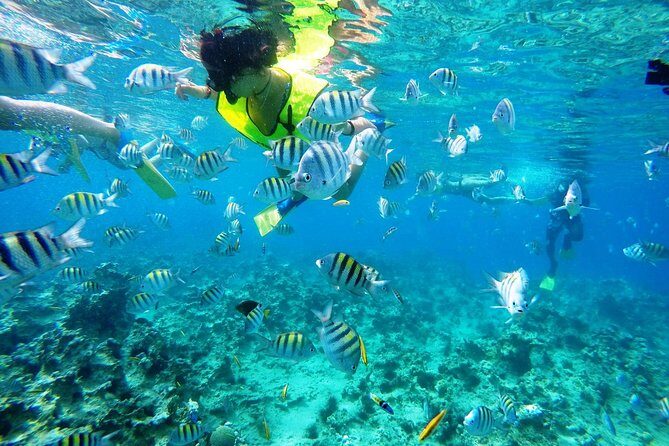 Puerto Plata Shore Excursion, Snorkeling tour & Sosua Beach Day - An In-Depth Look at the Tour Experience