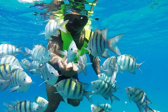 Puerto Plata Shore Excursion, Snorkeling tour & Sosua Beach Day - Practical Tips for Your Tour