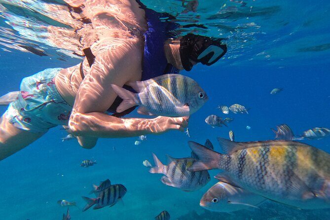 Puerto Plata Shore Excursion, Snorkeling tour & Sosua Beach Day - FAQs