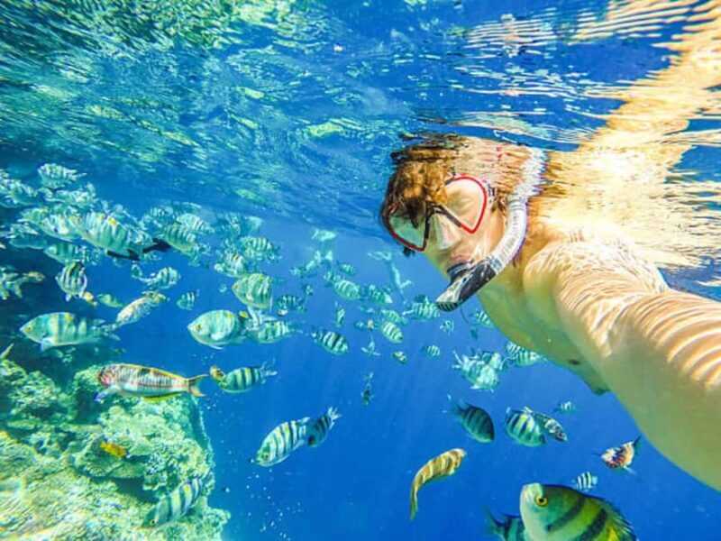 Puerto Plata: Snorkeling Excursion to Sosúa beach - Key Points