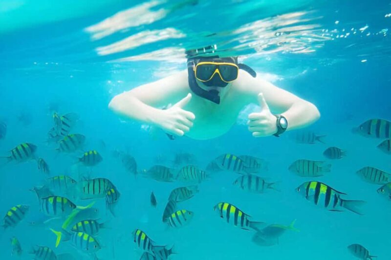 Puerto Plata: Snorkeling Excursion to Sosúa beach - The Itinerary: What to Expect from Start to Finish