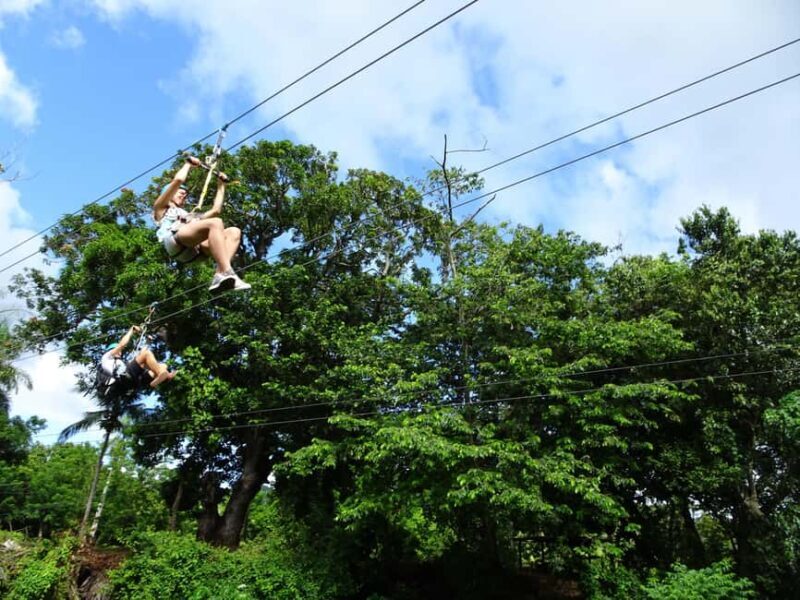 Puerto Plata: Zip Line Adventure - What to Expect on the Tour