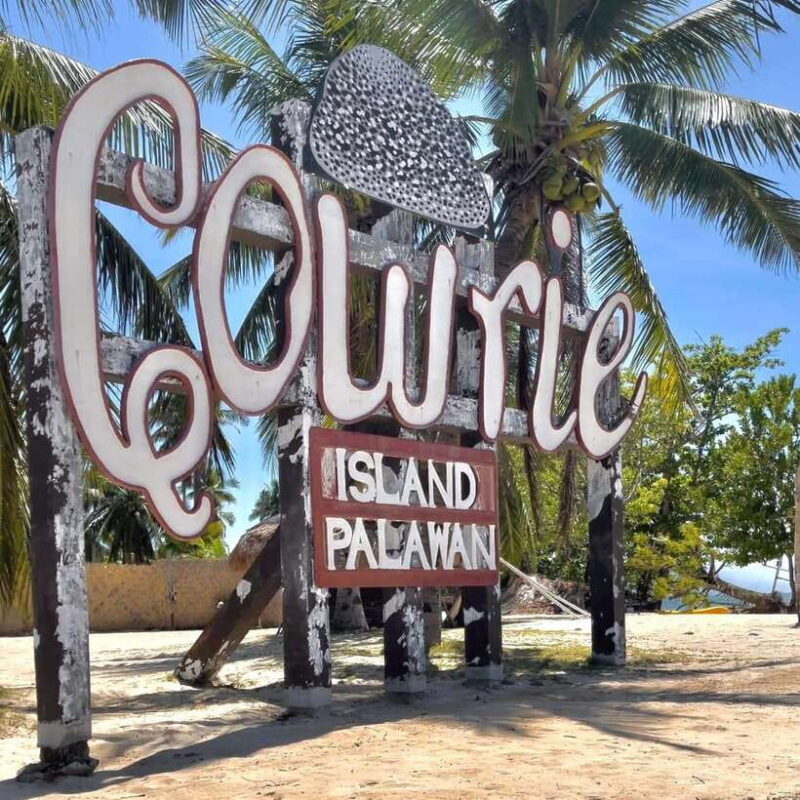 Puerto Princesa: Cowrie Island Guided Day Tour with Meal - Key Points