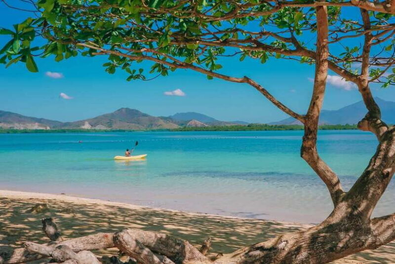 Puerto Princesa: Cowrie Island Guided Day Tour with Meal - Who Will Enjoy This Tour?