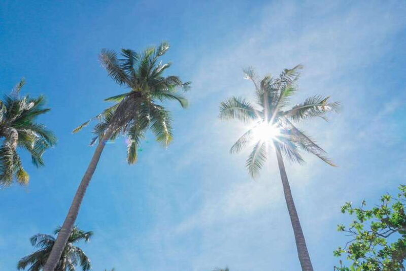 Puerto Princesa: Cowrie Island Guided Day Tour with Meal - FAQ