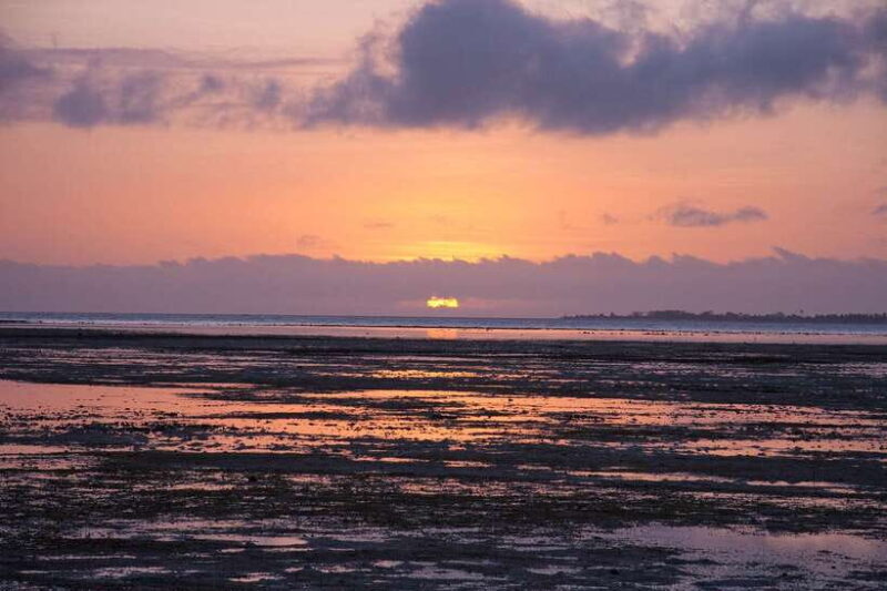 Puerto Princesa: Firefly Watching Bay Cruise with Dinner - An Overview of the Experience