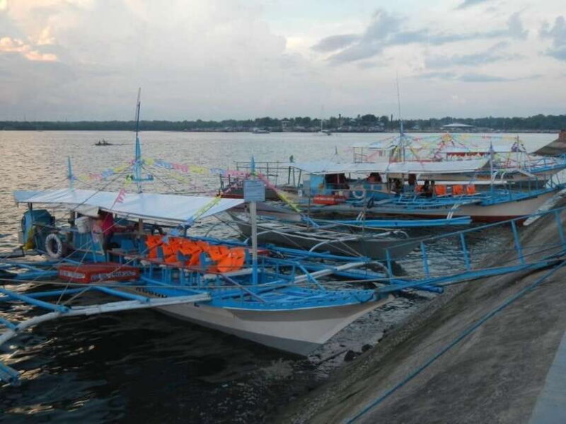 Puerto Princesa: Firefly Watching Bay Cruise with Dinner - What Makes This Tour Stand Out