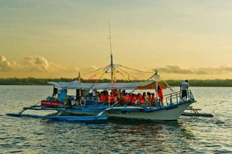 Puerto Princesa: Firefly Watching Bay Cruise with Dinner - Final Thoughts