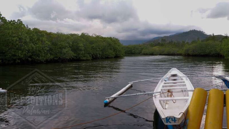 Puerto Princesa: Firefly Watching Paddle Boat Tour & Dinner - An In-Depth Look at the Experience