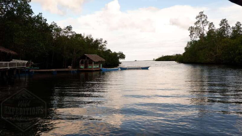 Puerto Princesa: Firefly Watching Paddle Boat Tour & Dinner - FAQs