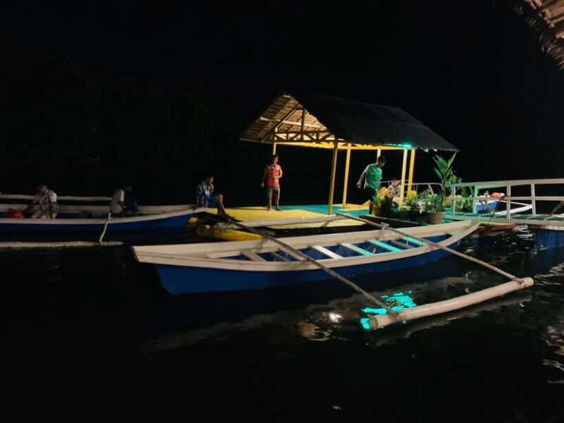 Puerto Princesa: Jungle Firefly Watching Boat Tour & Dinner - Key Points