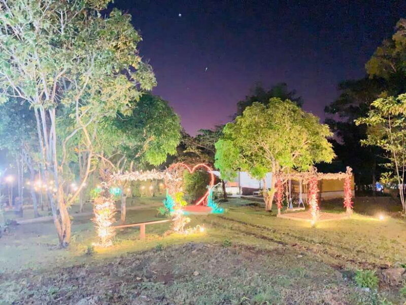 Puerto Princesa: Jungle Firefly Watching Boat Tour & Dinner - Practical Tips for Travelers