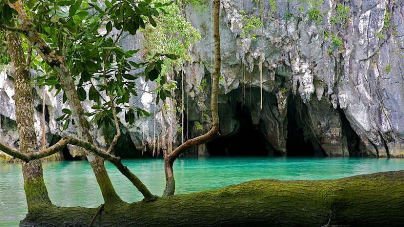 Puerto Princesa: Private Full-Day Tour To Underground River - Practical Details and Insights