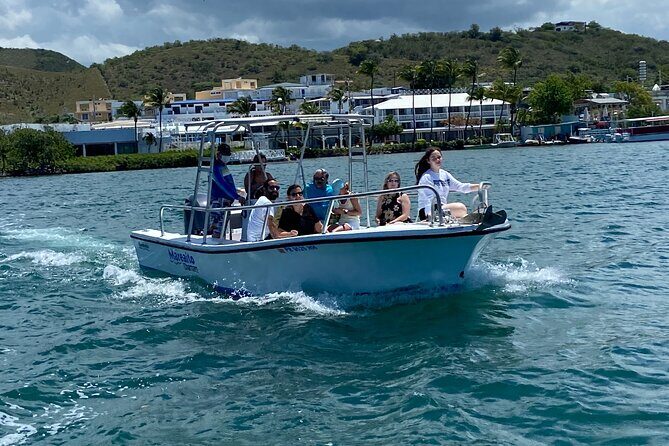 Puerto Rico: Bio Bay Swim and Sunset Charter or Late night tour - What’s Included and What to Bring