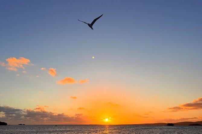 Puerto Rico: Bio Bay Swim and Sunset Charter or Late night tour - The Weather and Conditions
