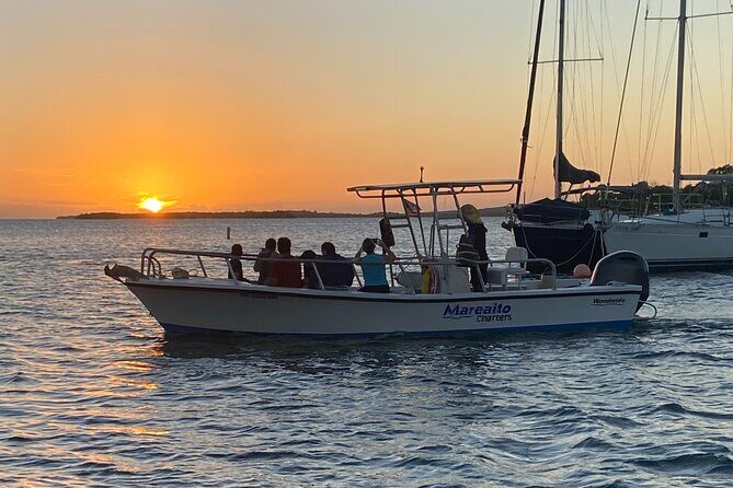Puerto Rico: Bio Bay Swim and Sunset Charter or Late night tour - Who Will Love This Tour?