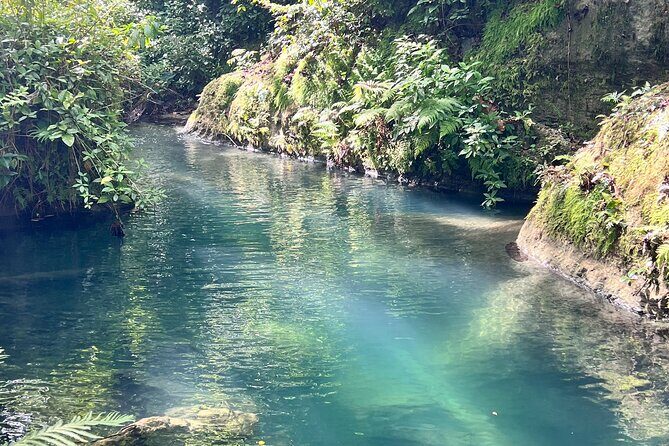 Puerto Rico Charco Azul Hiking Adventure - Who Should Book?