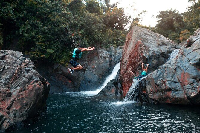 Puerto Rico El Yunque Rainforest with Transportation - Key Points