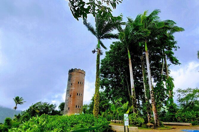 Puerto Rico: El Yunque Sightseeing Half-Day Tour w/Transfer - Exploring El Yunque: A Practical Guide to the Puerto Rico Sightseeing Half-Day Tour