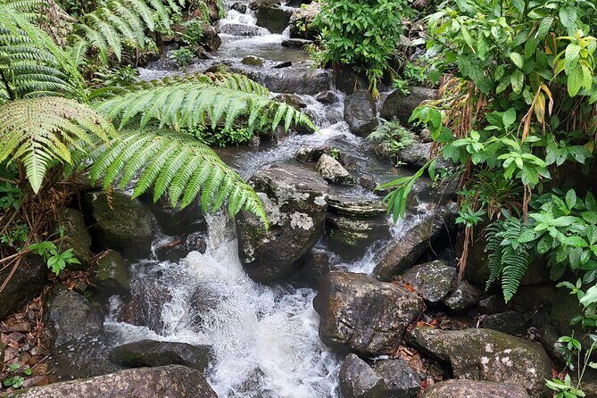 Puerto Rico: El Yunque Sightseeing Half-Day Tour w/Transfer - Final Thoughts