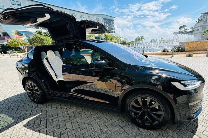 Puerto Rico Island Wide Transfer, Tesla Model X Luxury SUV. - Who Should Book This?