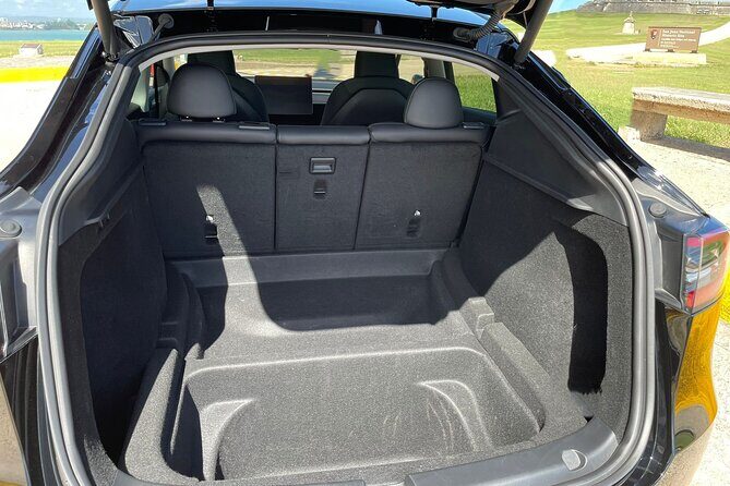 Puerto Rico Island Wide Transfer, Tesla Y Luxury SUV, Select Zone - Who Will Find This Transfer Most Useful?