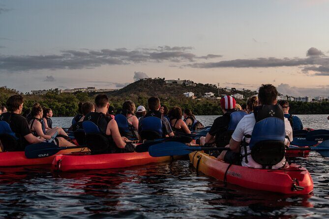 Puerto Rico Sunset Magic: Bio Bay Kayaking Tour from Fajardo - What Makes This Tour Stand Out?