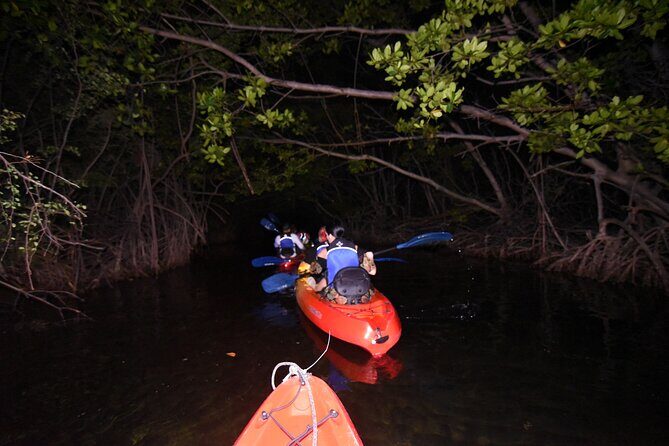 Puerto Rico Sunset Magic: Bio Bay Kayaking Tour from Fajardo - Practical Tips for the Best Experience
