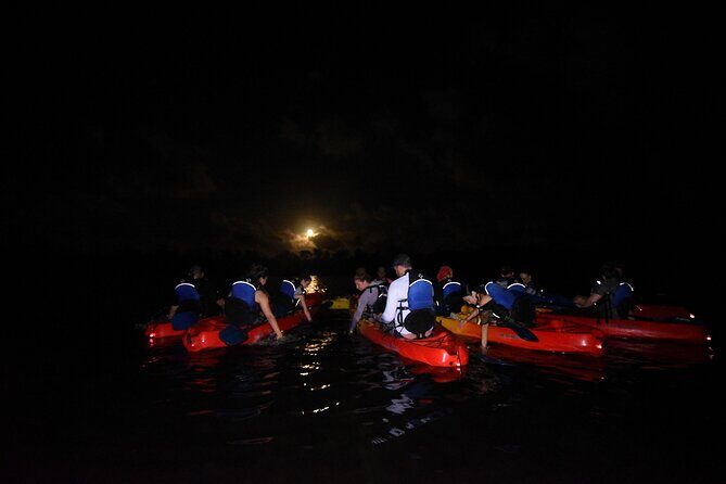 Puerto Rico Sunset Magic: Bio Bay Kayaking Tour from Fajardo - The Sum Up: Is This Tour Worth It?