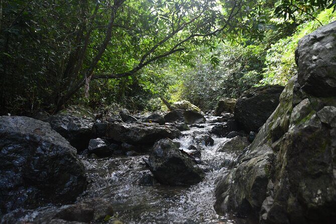 Puerto Rico Waterfall Hiking Tour: Discover Hidden Gems 2.0 - What to Expect from the Itinerary