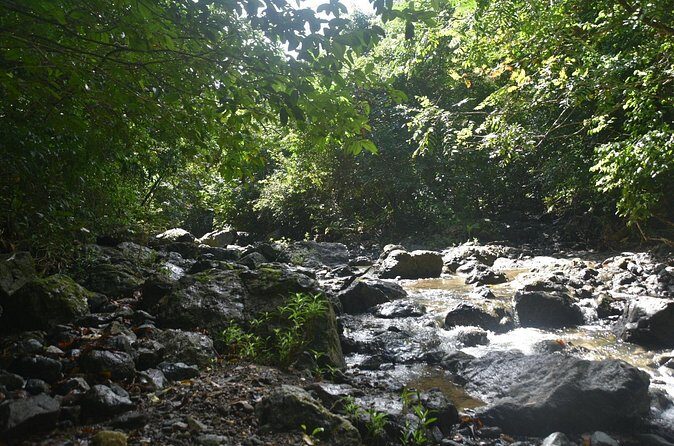 Puerto Rico Waterfall Hiking Tour: Discover Hidden Gems 2.0 - Practical Tips for the Best Experience