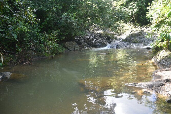 Puerto Rico Waterfall Hiking Tour: Discover Hidden Gems 2.0 - Frequently Asked Questions