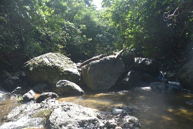 Puerto Rico Waterfall Hiking Tour: Discover Hidden Gems 2.0 - Who Should Consider This Tour?