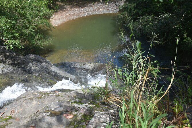 Puerto Rico Waterfall Hiking Tour: Discover Hidden Gems 2.0 - In Closing