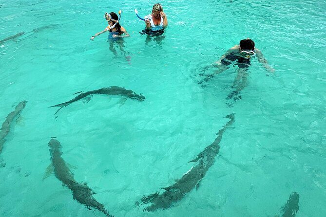 Puerto Rico's Only Private, VIP & Filmed Bio Bay Swim Experience - Final Thoughts: Who Will Love This Tour?