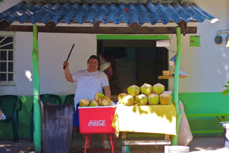 Puerto Vallarta 3-Hour Food Tour of Authentic Local Cuisine - The Itinerary: A Delicious Walk Through Puerto Vallarta