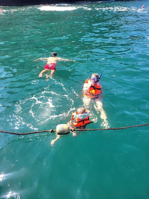 Puerto Vallarta: 3-Hour Whale Watching and Snorkeling - Who Should Consider This Tour?