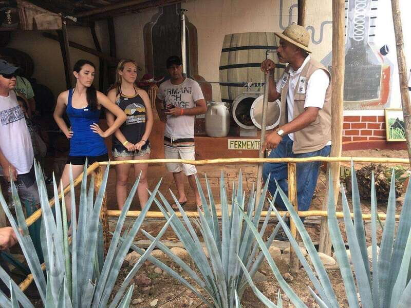 Puerto Vallarta: ATV El Eden and Zip Line Experience - Key Points
