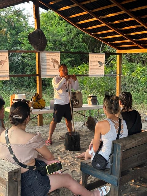 Puerto Vallarta: Baby Turtle Release in Conservation Area - Practical Tips for Travelers