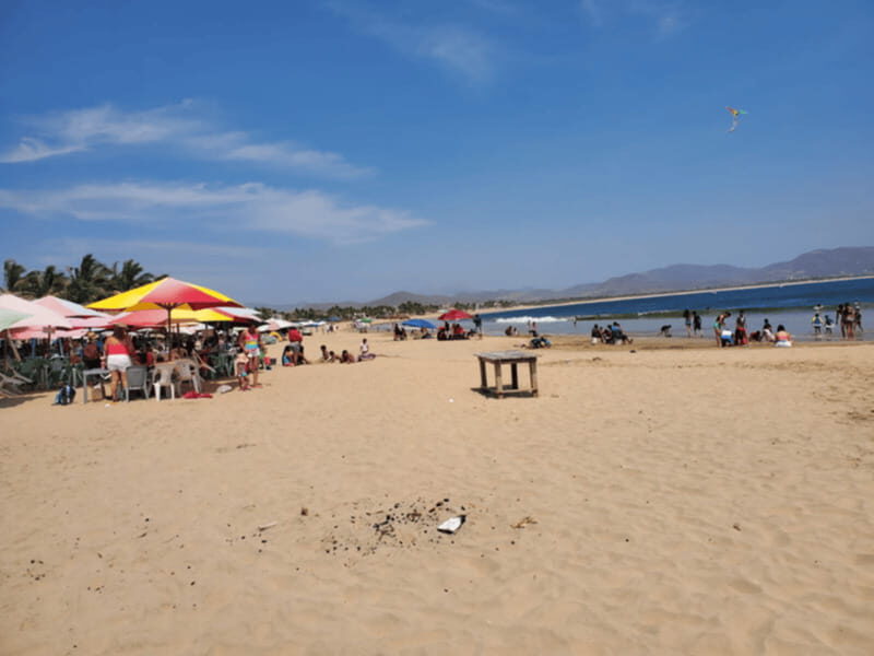 Puerto Vallarta: Beach Tour Experience - Authenticity and Value