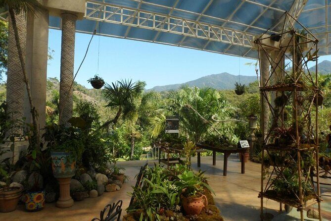 Puerto Vallarta Botanical Gardens Hiking Tour - Key Points