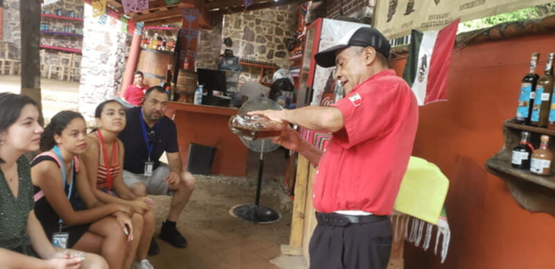 Puerto Vallarta: City Tour - An In-Depth Look at the Puerto Vallarta City Tour