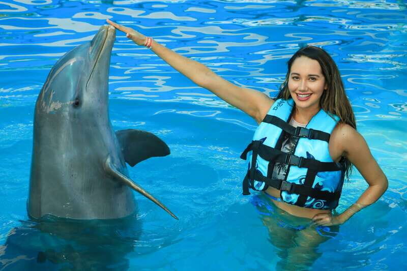 Puerto Vallarta: Dolphin Swimming and Aquaventuras Park - What to Expect from the Experience