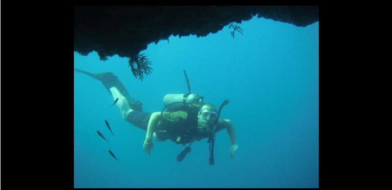 Puerto Vallarta: El Chimo Scuba Diving Expedition - A Closer Look at the El Chimo Scuba Diving Expedition