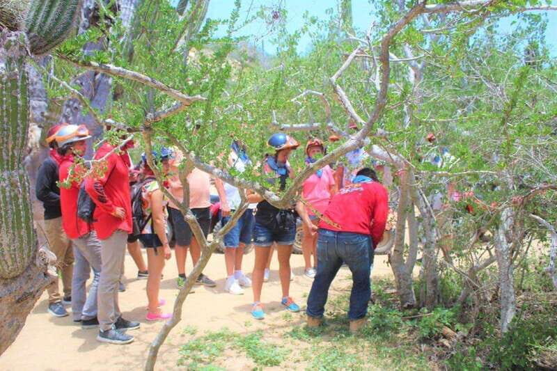 Puerto Vallarta: El Eden Horseback Riding - Key Points