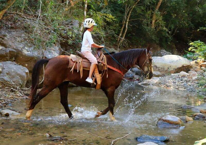 Puerto Vallarta: El Salto Waterfall Horseback Riding - An Overview of the Experience