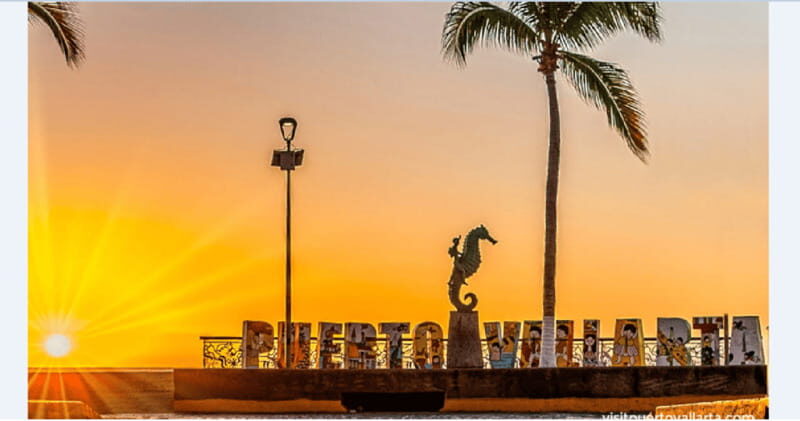Puerto Vallarta: Exclusive Dive Adventure - An Intimate Gateway to Puerto Vallarta’s Marine Life
